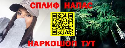 прущие грибы Нягань