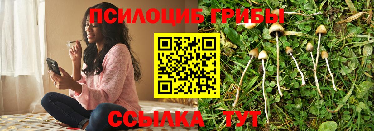 Псилоцибиновые грибы MAGIC MUSHROOMS Советск